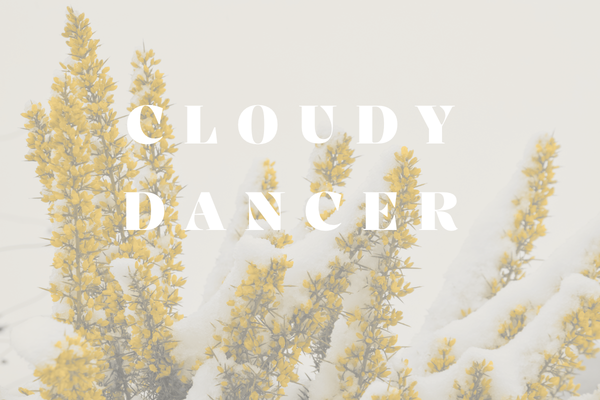 Tornar a començar, sobre Cloudy Dancer