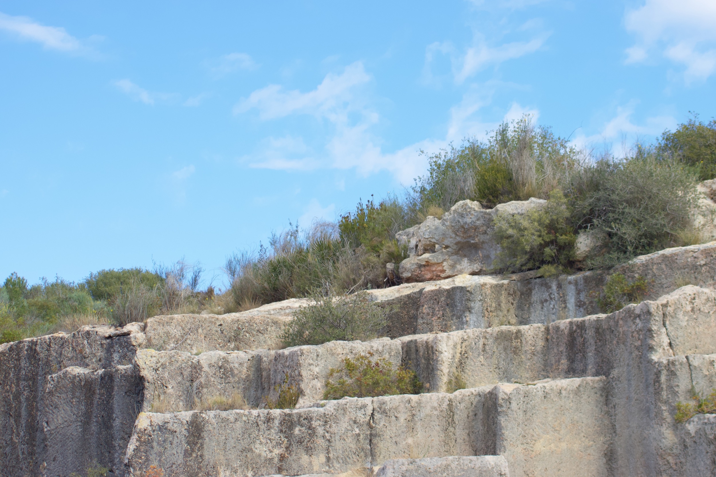 Mediterranean Garden