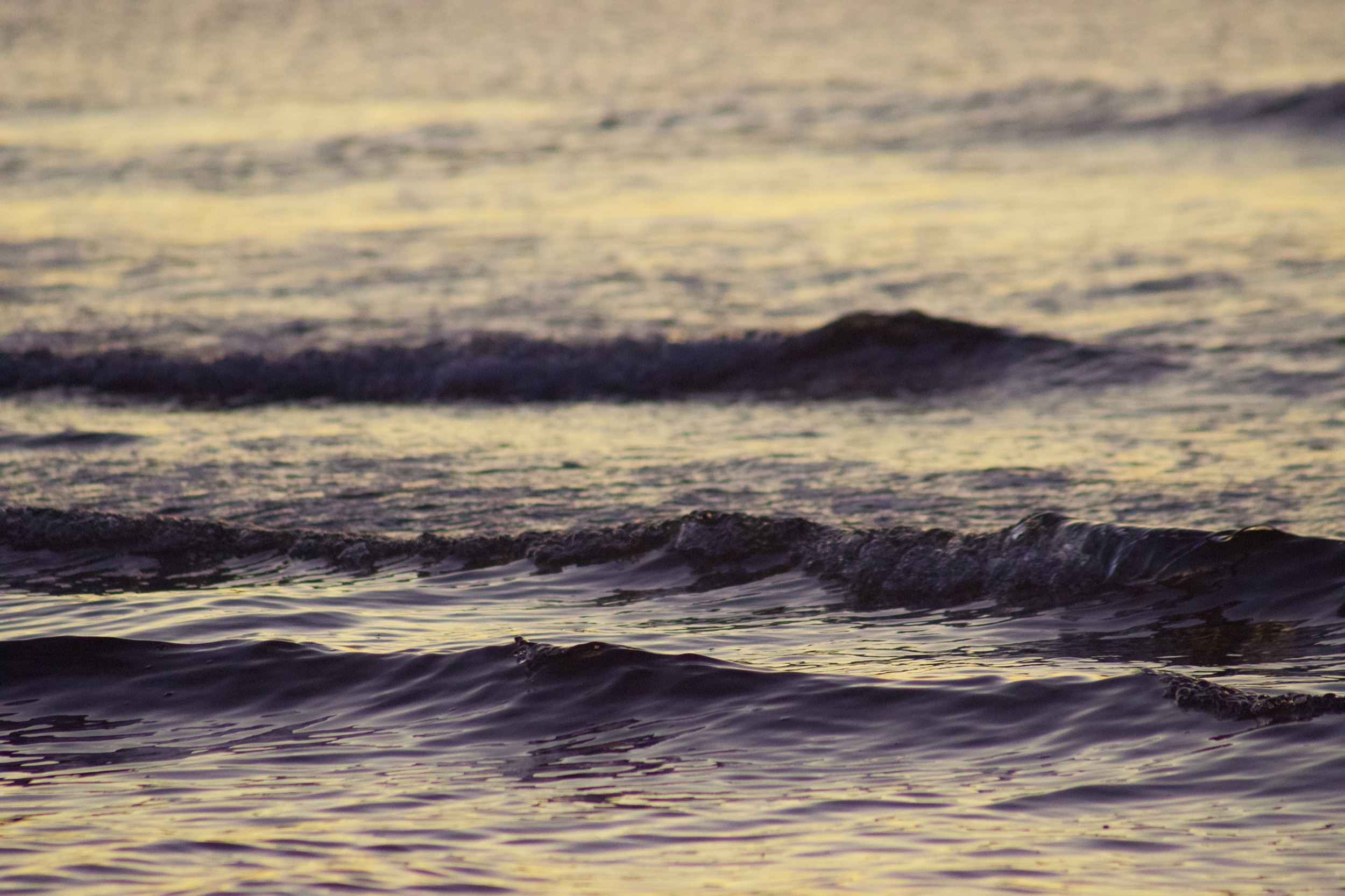 dark small waves with yellow reflections