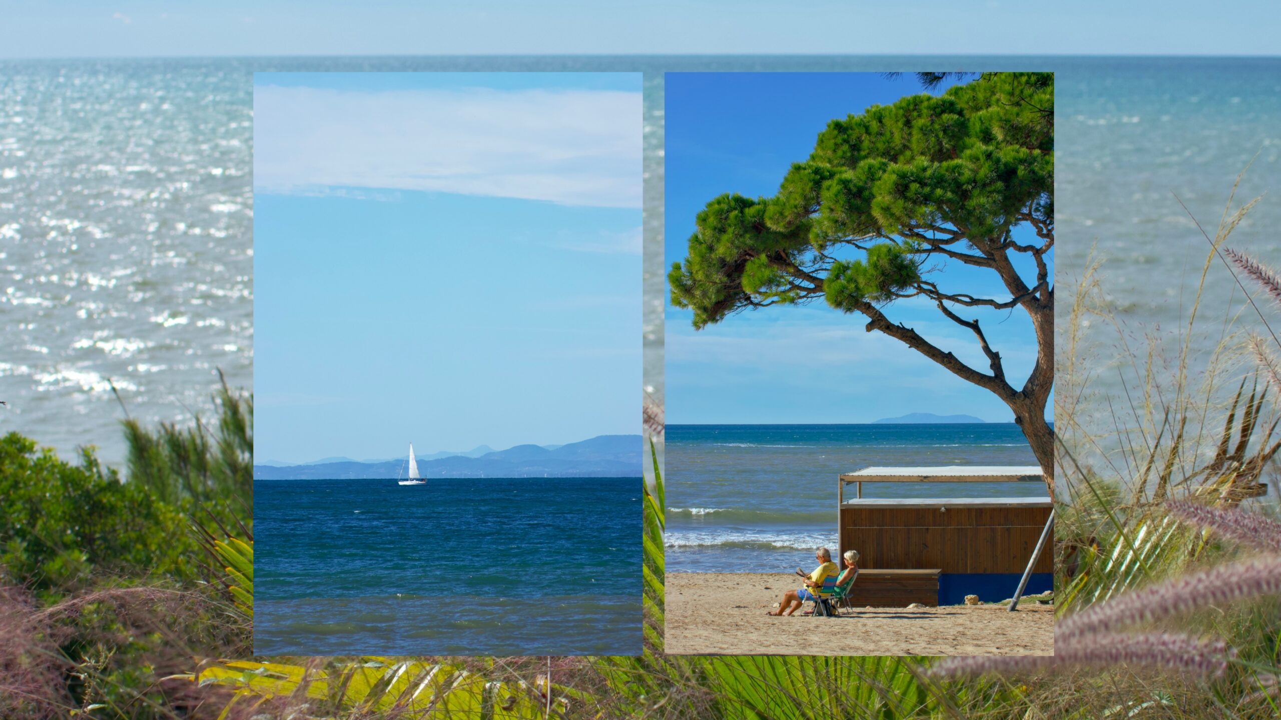 One day we'll be ocean