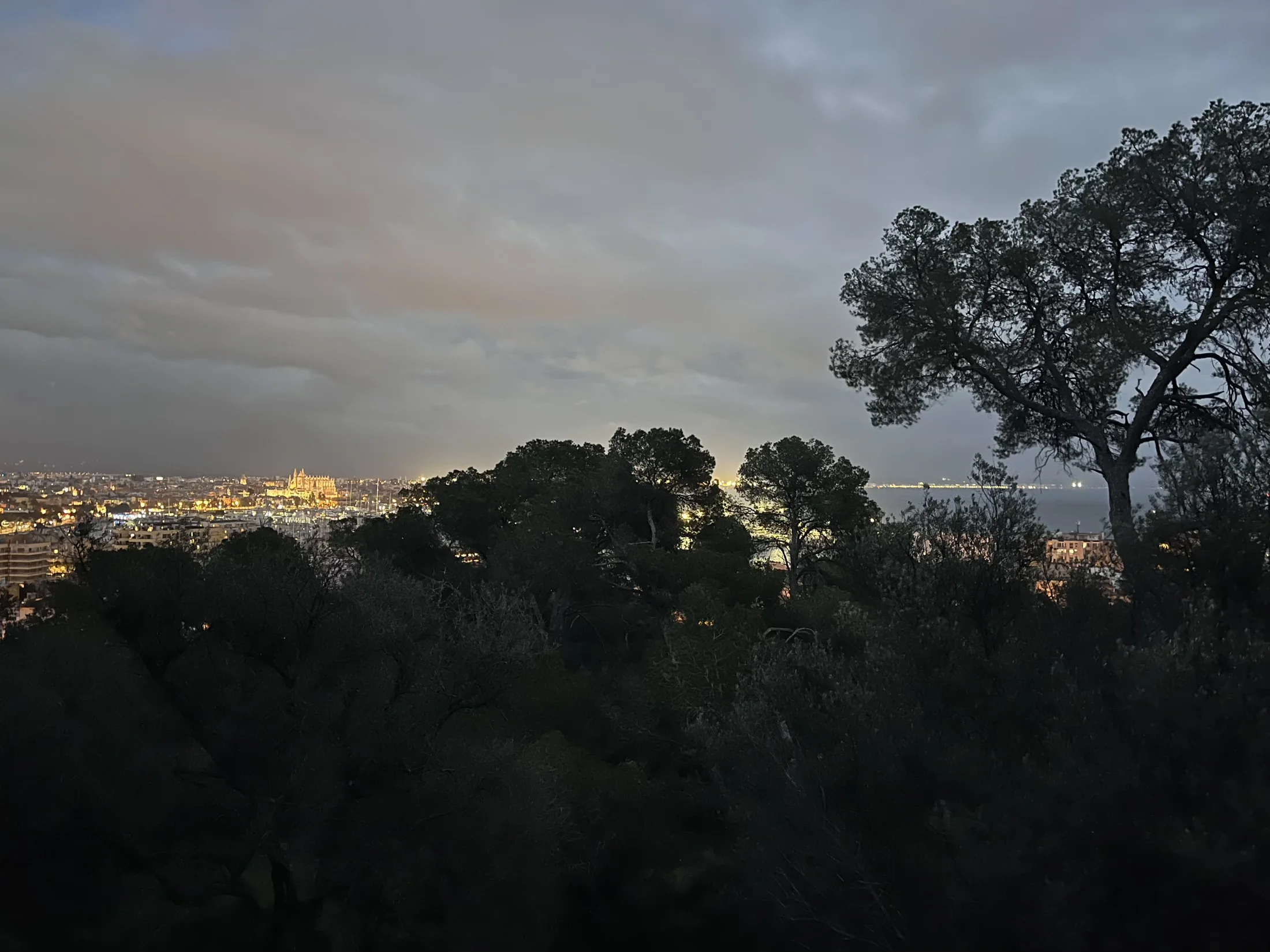 evening scene in Mallorca