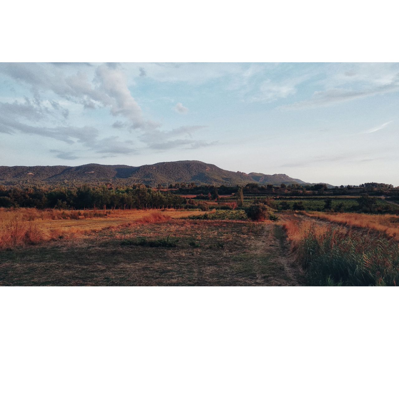 folk landscape during sunset