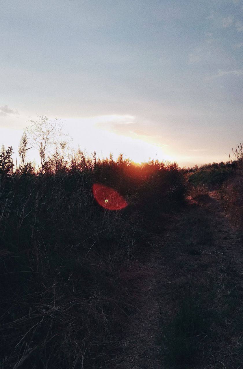 country side sunset