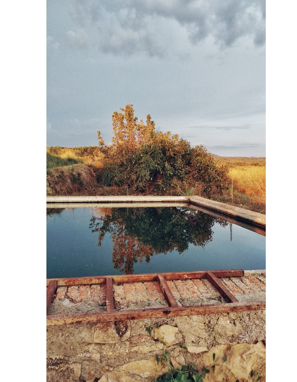 folk reflections