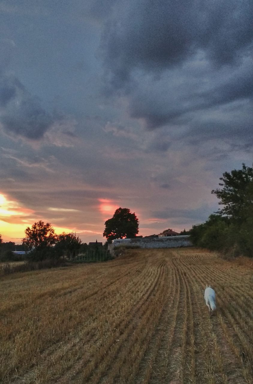 folk sunset