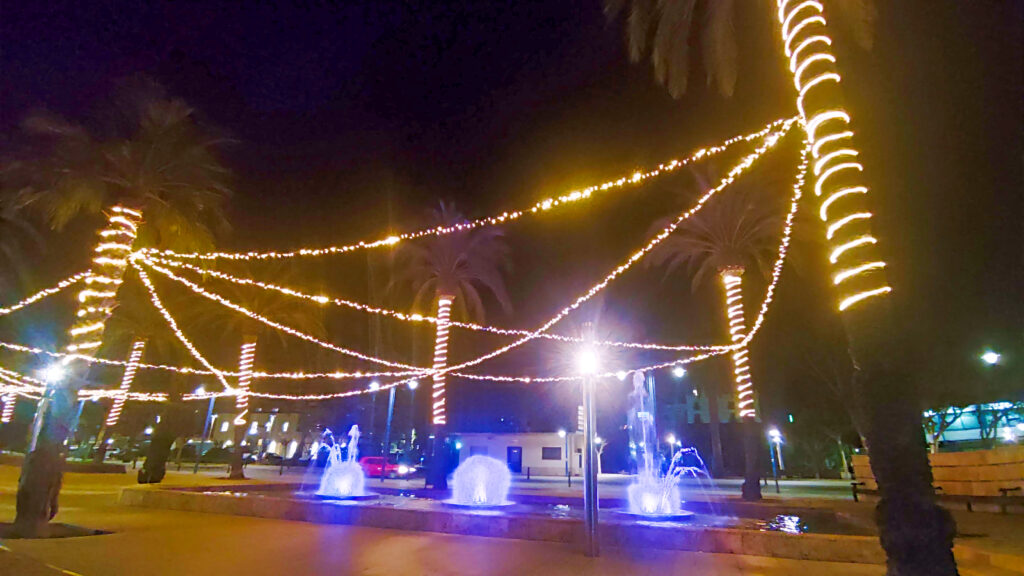 palmtrees in christmas lights