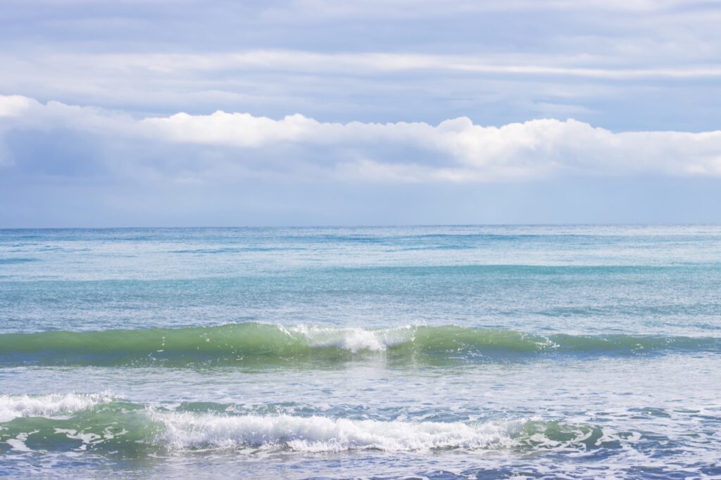 small greesn wave paddling, illuminated against the sea