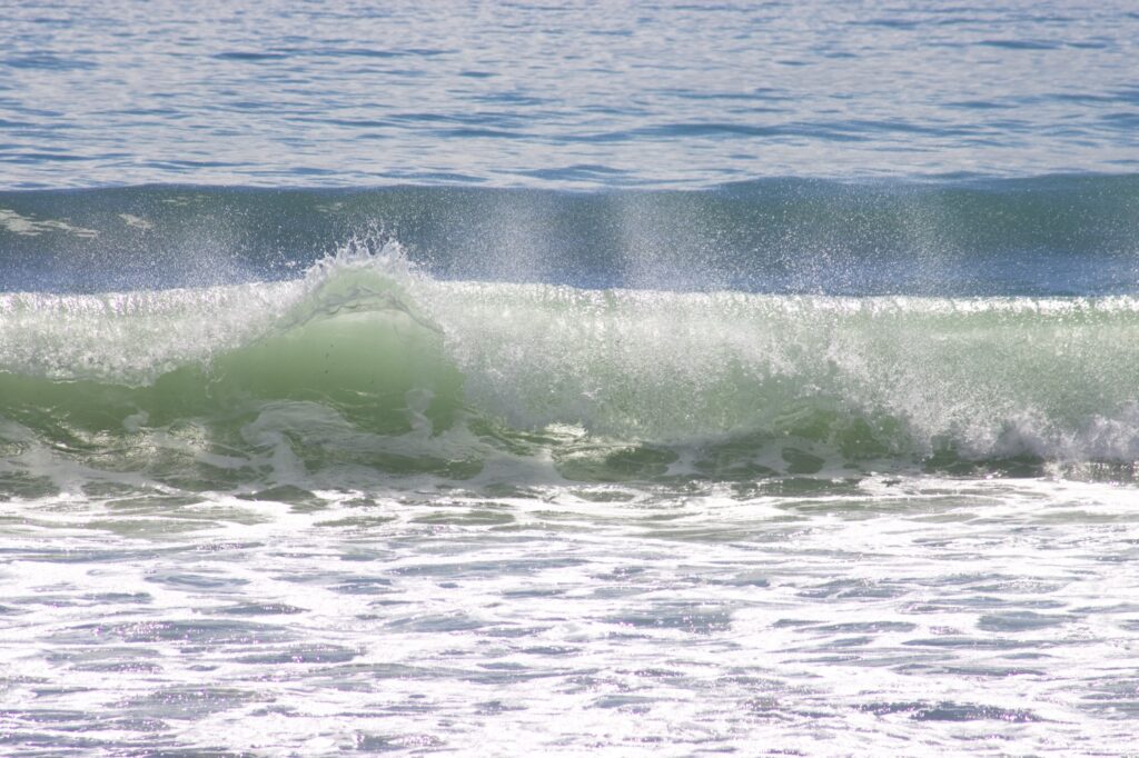 breaking wave, with foam on the foreground