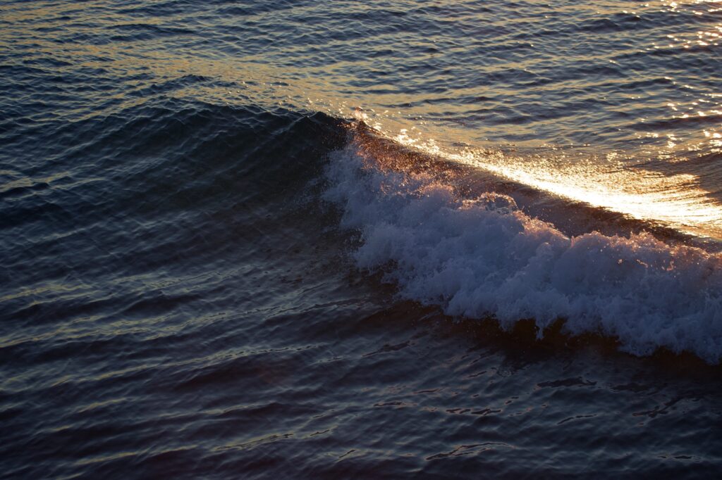 backlighted wave