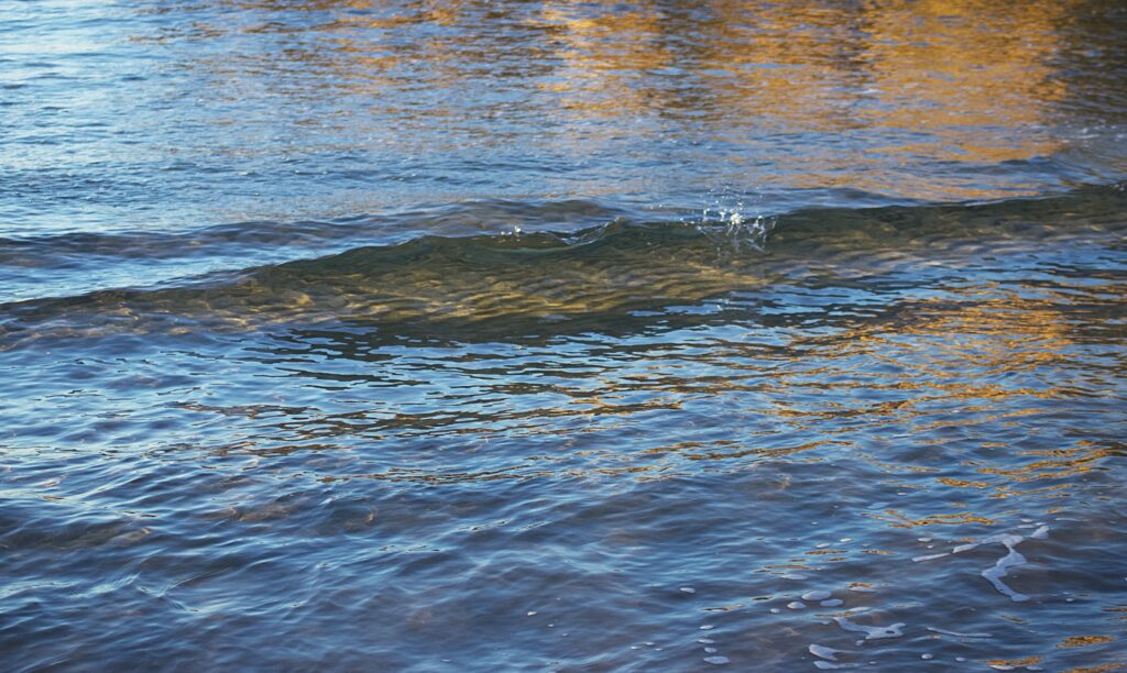 what's inside a wave, the light reflections