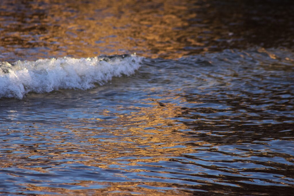 golden reflections at sea