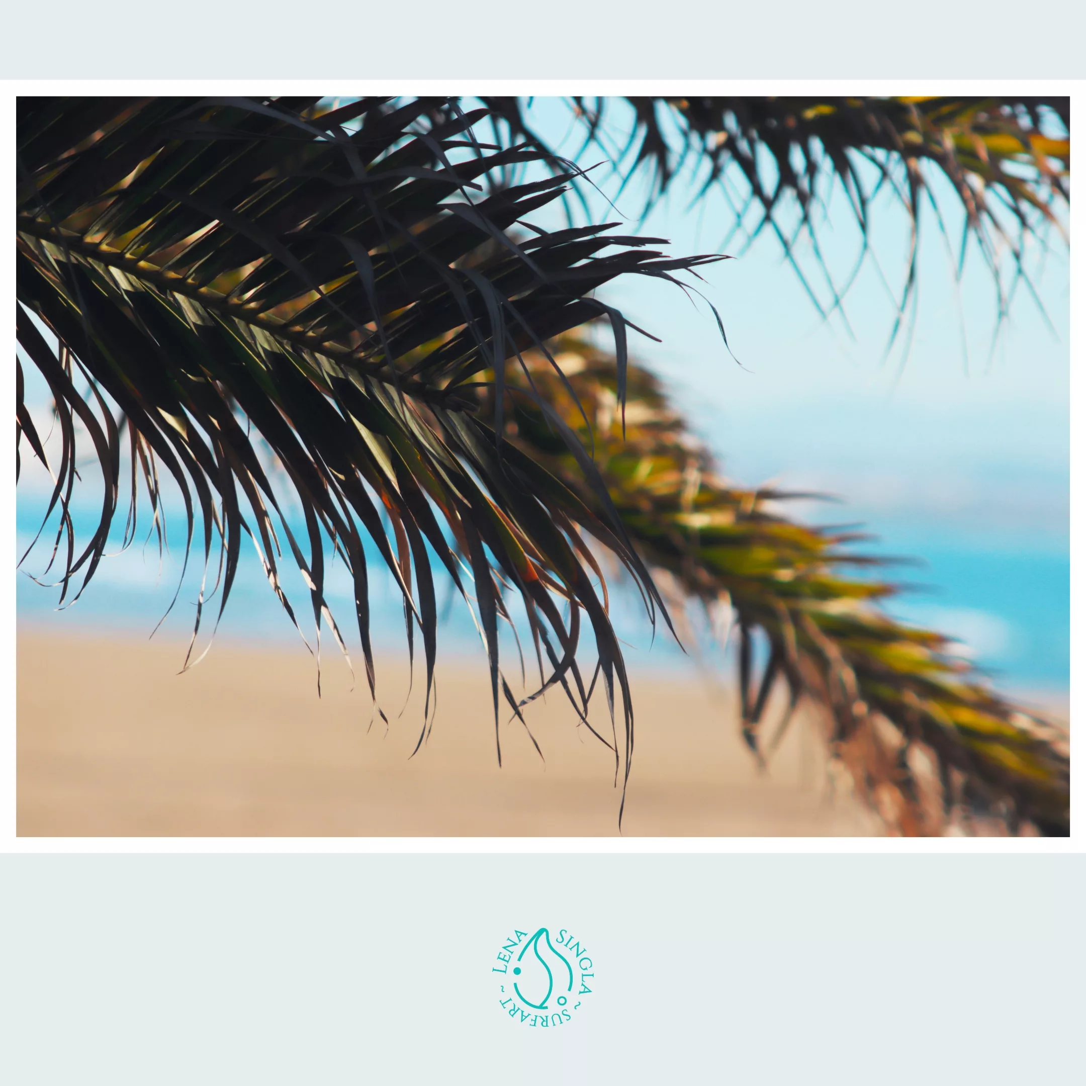 Photo beach palm ~ beach vibes