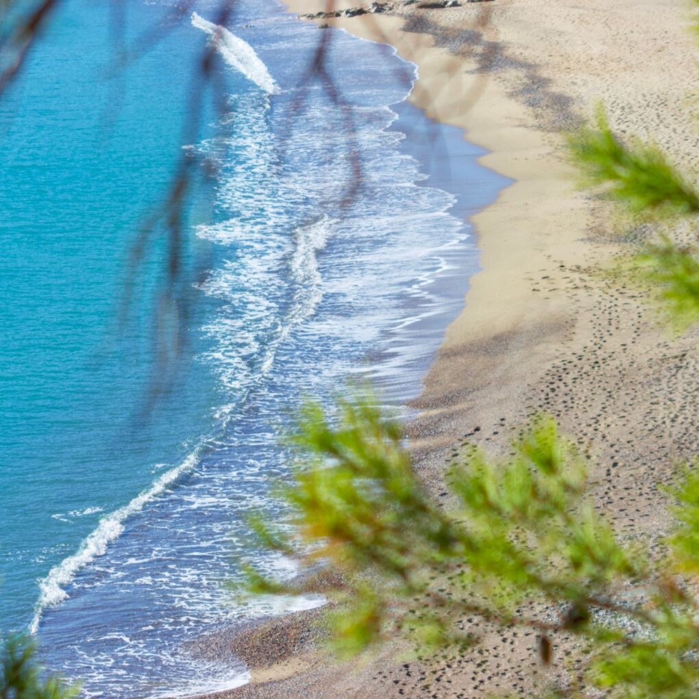 A peaceful walk by the beach