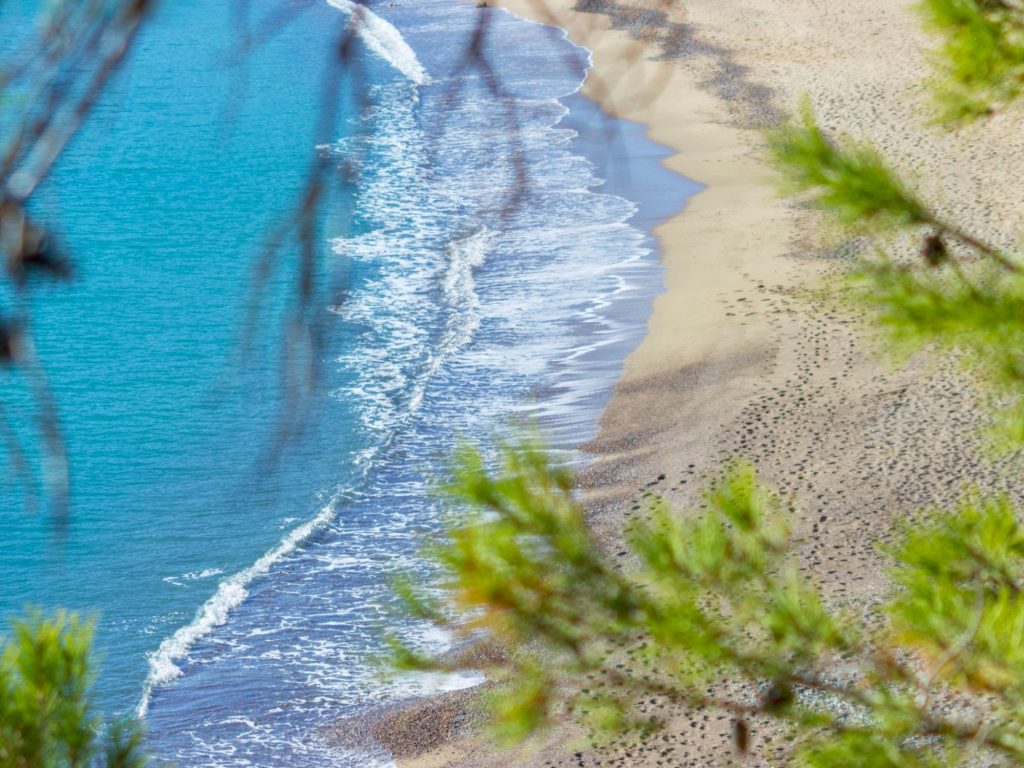 a walk by the beach