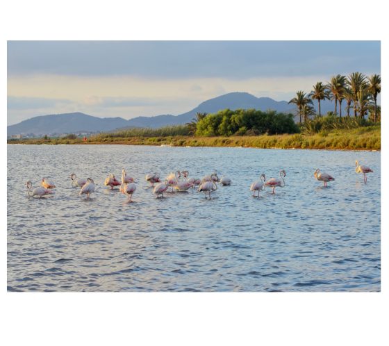 Summer photographic journey of this wonderful place, Los Urrutias, once a sought-after paradise still showing hints of it's splendour