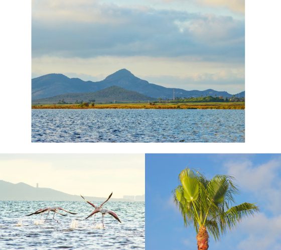 Summer photographic journey of this wonderful place, Los Urrutias, once a sought-after paradise still showing hints of it's splendour