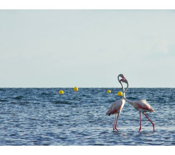 Summer photographic journey of this wonderful place, Los Urrutias, once a sought-after paradise still showing hints of it's splendour