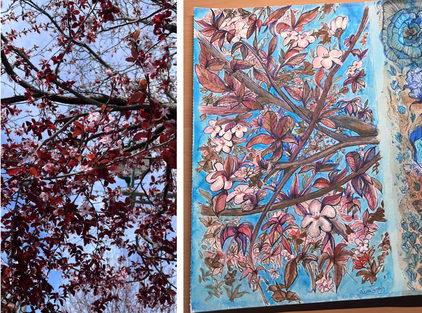 floral art ink drawings